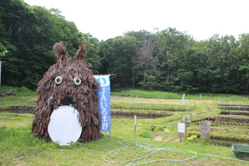 稲で作った、映画「となりのトトロ」に出てくるトトロの模型と、湿地全体の風景写真