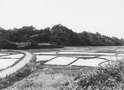 滝の城跡遠望