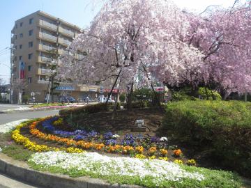 所沢市東狭山ヶ丘美化協議会の写真