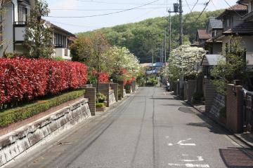 松が丘の住宅地の写真