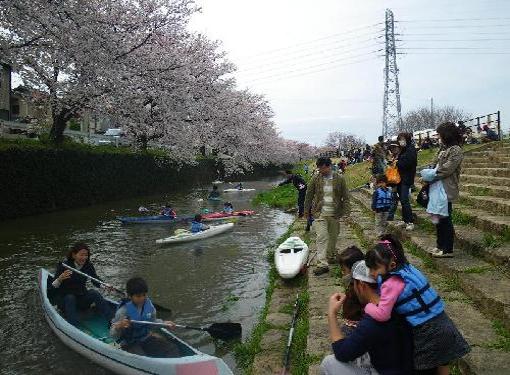 さくら祭りとカヌー