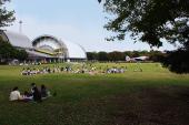 航空公園の芝生広場