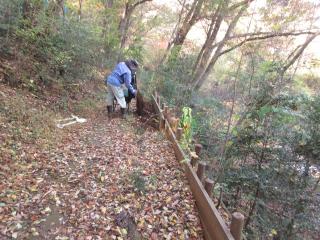 園路の補修風景です