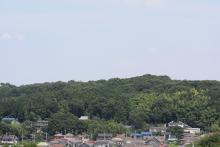 上山口堀口天満天神社周辺里山保全地域1