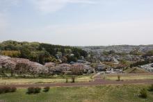 上山口天満天神社里山保全地域堤防2