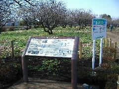 砂川遺跡都市緑地の写真