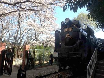 小手指公園SLの写真（小手指）