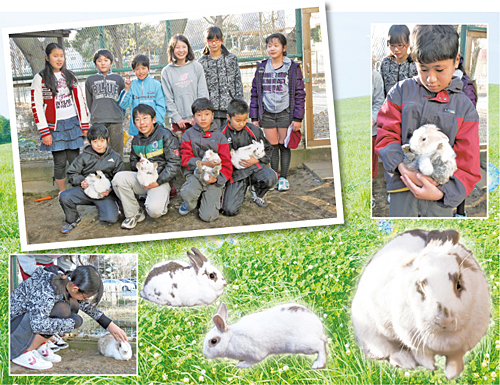 今年の干支うさぎと学校の飼育委員の皆さんの写真