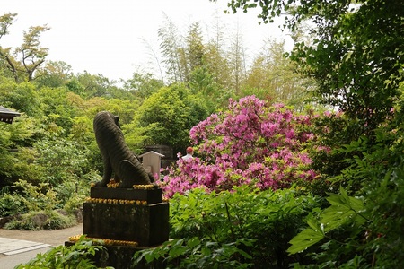 寅の像がツツジの花の近くにある