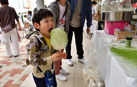 大きな口で抹茶わたあめをほおばる男の子